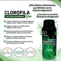 Clorofila Plus – Energía Verde en Cada Gota 🌿💧