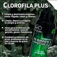 Clorofila Plus – Energía Verde en Cada Gota 🌿💧