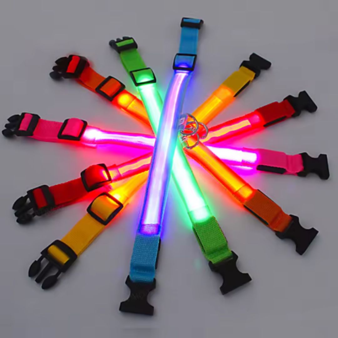 🐶💡 Collar LED Ajustable – SafeGlow Pet™ 🏅✨