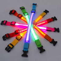 🐶💡 Collar LED Ajustable – SafeGlow Pet™ 🏅✨