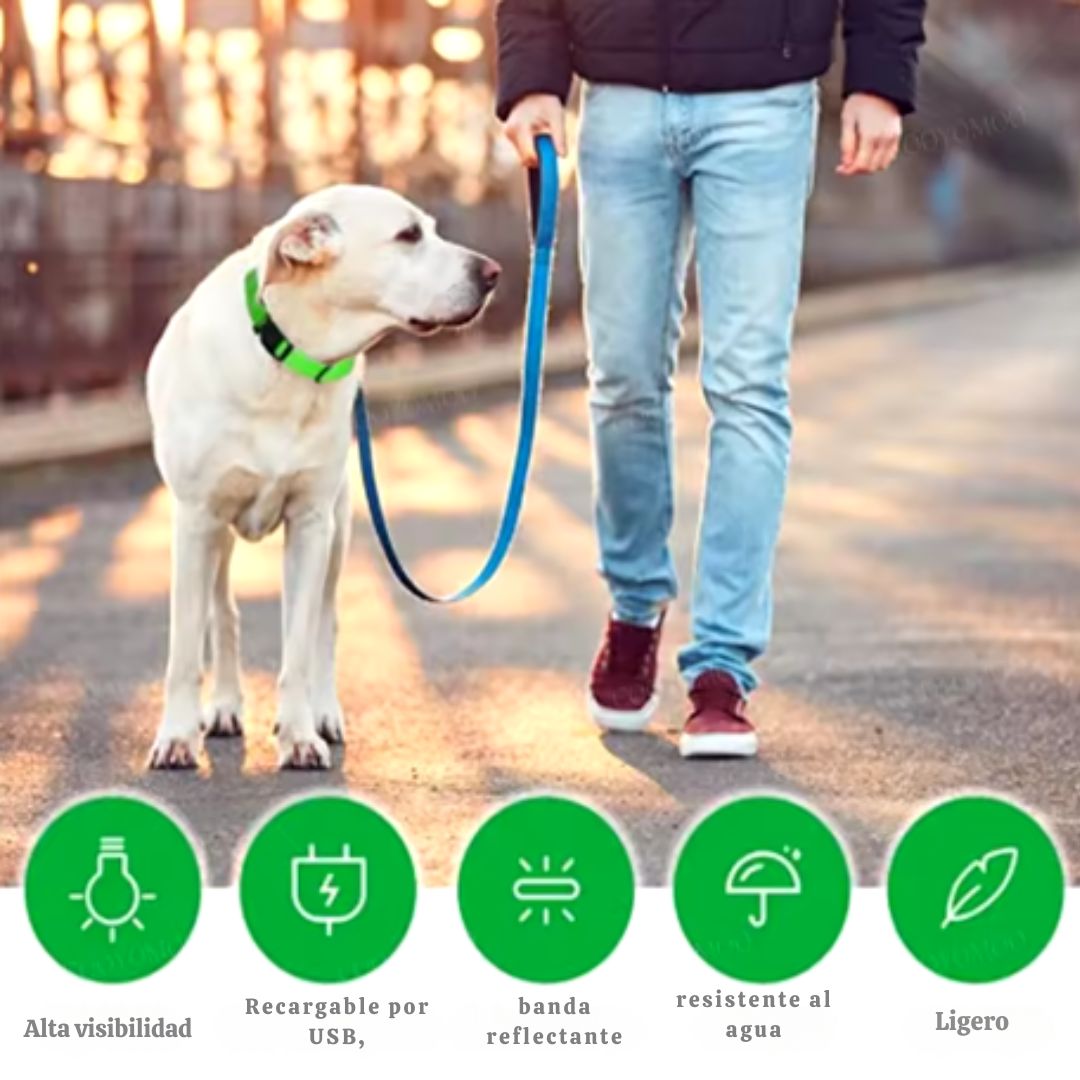 🐶💡 Collar LED Ajustable – SafeGlow Pet™ 🏅✨