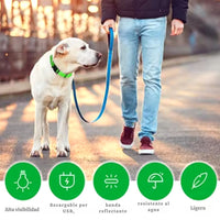 🐶💡 Collar LED Ajustable – SafeGlow Pet™ 🏅✨