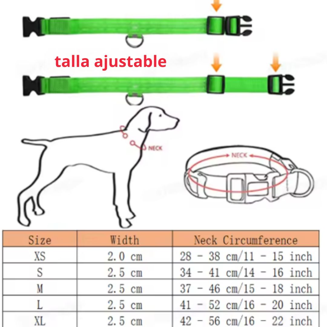 🐶💡 Collar LED Ajustable – SafeGlow Pet™ 🏅✨