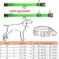 🐶💡 Collar LED Ajustable – SafeGlow Pet™ 🏅✨
