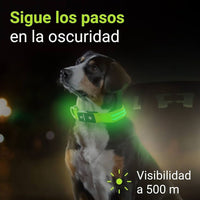 🐶💡 Collar LED Ajustable – SafeGlow Pet™ 🏅✨