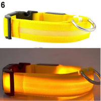 🐶💡 Collar LED Ajustable – SafeGlow Pet™ 🏅✨