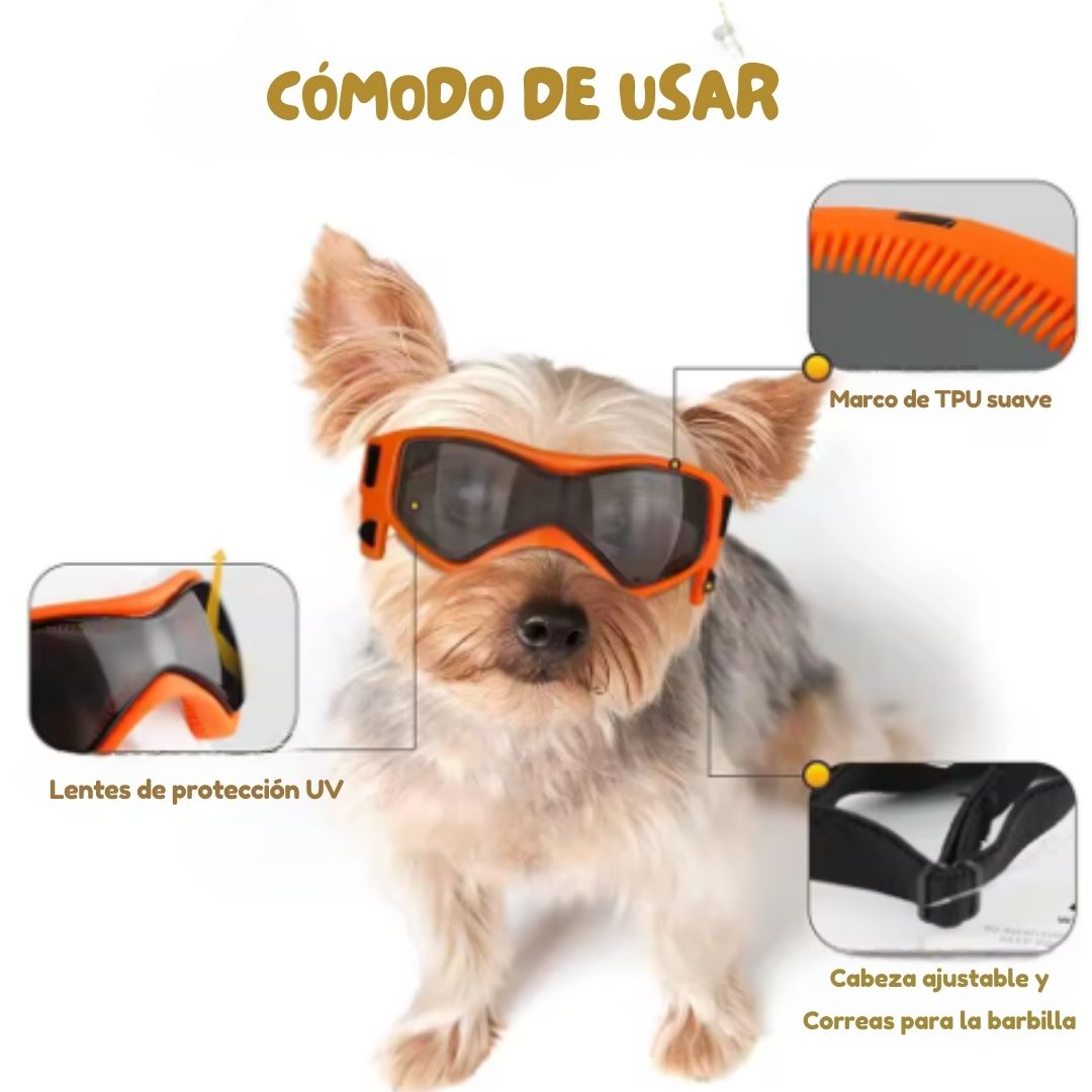 Gafas Protectoras para Perros - DogVision Pro™ 🐶🕶️