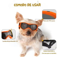 Gafas Protectoras para Perros - DogVision Pro™ 🐶🕶️