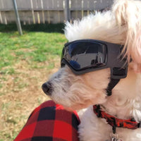 Gafas Protectoras para Perros - DogVision Pro™ 🐶🕶️