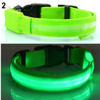 🐶💡 Collar LED Ajustable – SafeGlow Pet™ 🏅✨