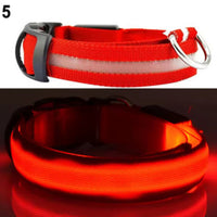🐶💡 Collar LED Ajustable – SafeGlow Pet™ 🏅✨