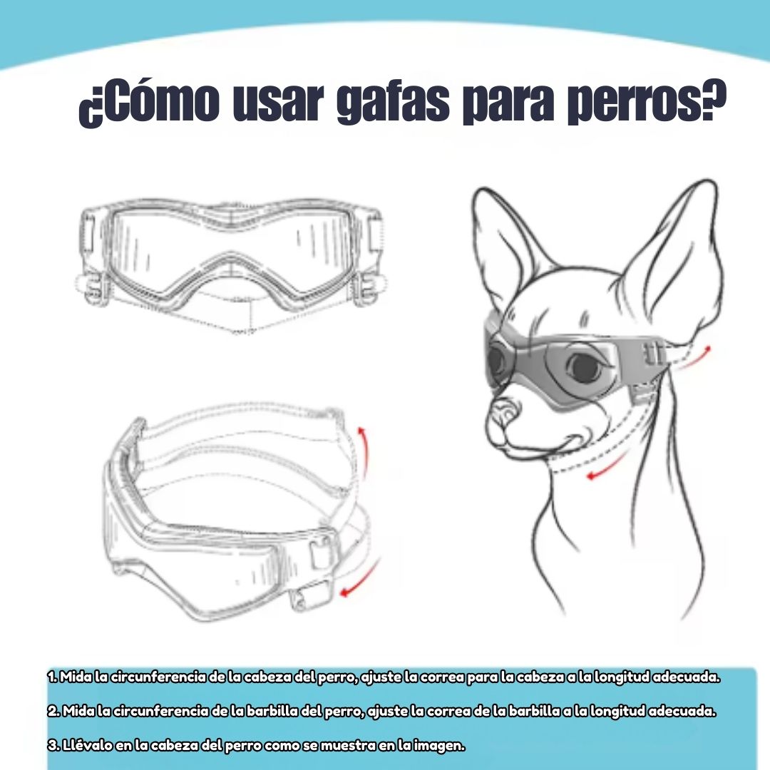 Gafas Protectoras para Perros - DogVision Pro™ 🐶🕶️