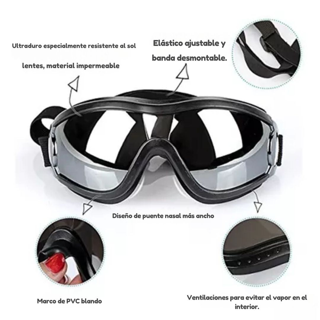 Gafas Protectoras para Perros - DogVision Pro™ 🐶🕶️