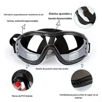 Gafas Protectoras para Perros - DogVision Pro™ 🐶🕶️