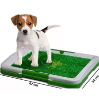 Tapete Entrenador de Mascotas 3 en 1 - PetRelief Pro™ 🐶🐾