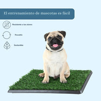 Tapete Entrenador de Mascotas 3 en 1 - PetRelief Pro™ 🐶🐾