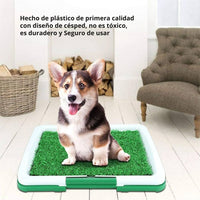 Tapete Entrenador de Mascotas 3 en 1 - PetRelief Pro™ 🐶🐾