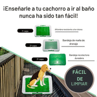 Tapete Entrenador de Mascotas 3 en 1 - PetRelief Pro™ 🐶🐾