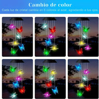 Campanillas Solares Mariposas – GlowCharm™ 🌞🦋