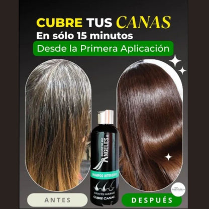 Combo Restaurador Capilar: Shampoo Cubre Canas 200 ml + Pigmento +Splash Resveratrol 🎨🧴