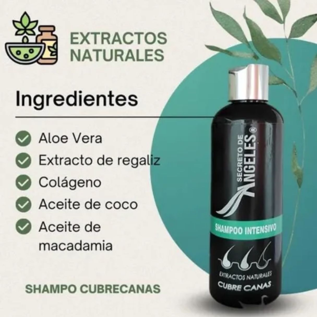 Combo Restaurador Capilar: Shampoo Cubre Canas 200 ml + Pigmento +Splash Resveratrol 🎨🧴