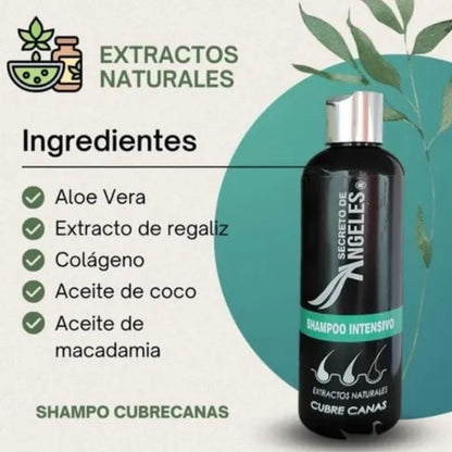 Combo Restaurador Capilar: Shampoo Cubre Canas 200 ml + Pigmento +Splash Resveratrol 🎨🧴