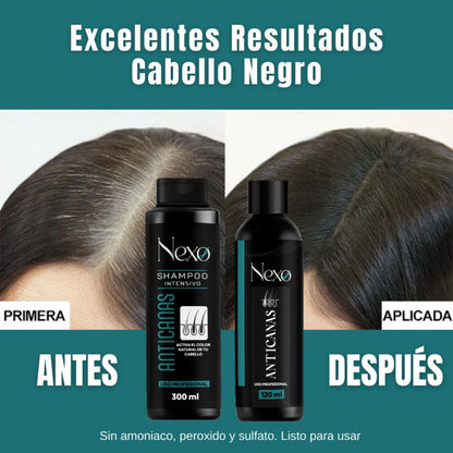 Combo x3 Cubre Canas NEXO – Shampoo 300ml + Tratamiento 120ml + Tónico 120ml 🧴✨