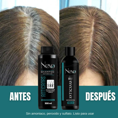 Combo x3 Cubre Canas NEXO – Shampoo 300ml + Tratamiento 120ml + Tónico 120ml 🧴✨