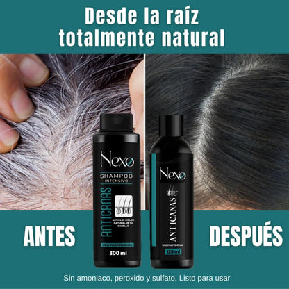 Combo x3 Cubre Canas NEXO – Shampoo 300ml + Tratamiento 120ml + Tónico 120ml 🧴✨