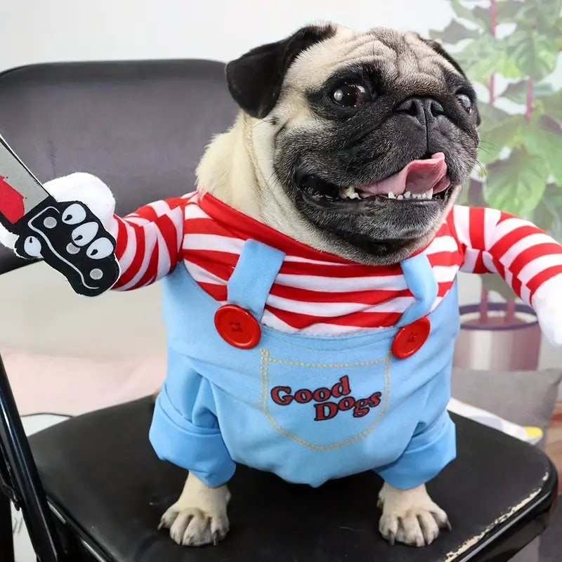 Disfraz Divertido Mascotas™ – Momentos inolvidables 🐾