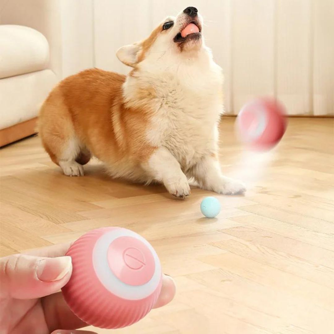 Pelota Inteligente para Mascotas - SmartPlay Pro™ 🐾🔋