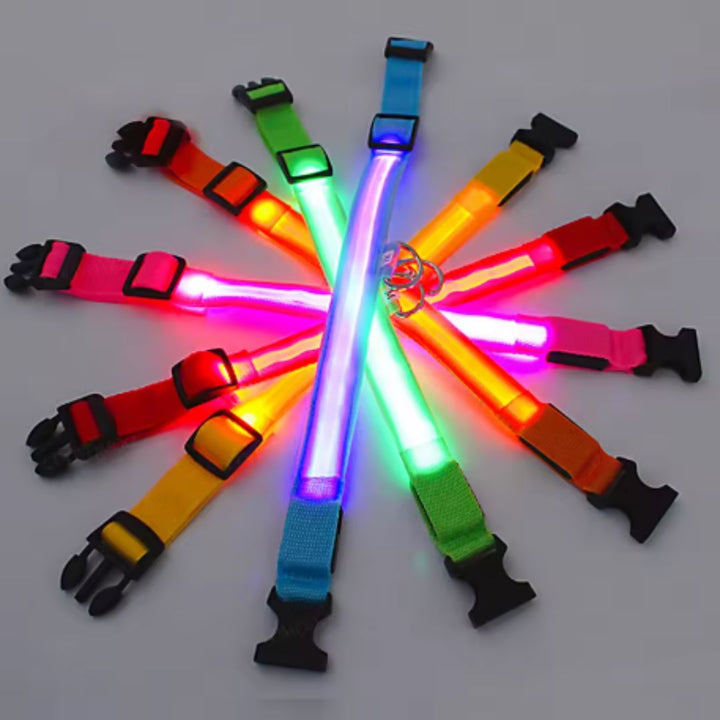 🐶💡 Collar LED Ajustable – SafeGlow Pet™ 🏅✨