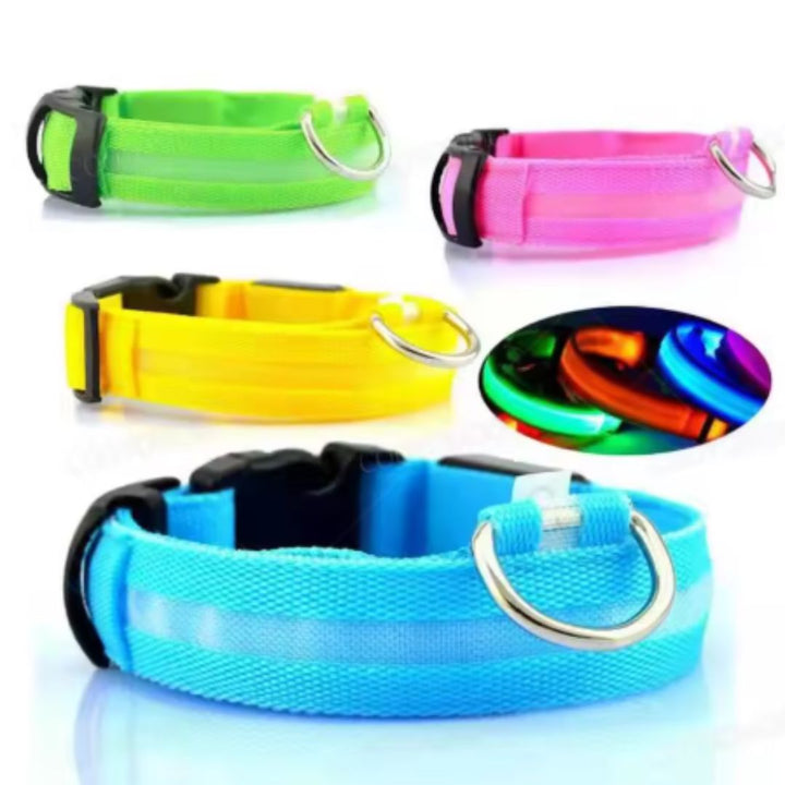 🐶💡 Collar LED Ajustable – SafeGlow Pet™ 🏅✨