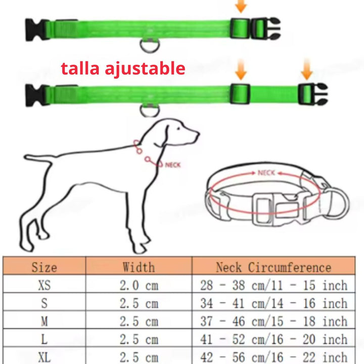 🐶💡 Collar LED Ajustable – SafeGlow Pet™ 🏅✨