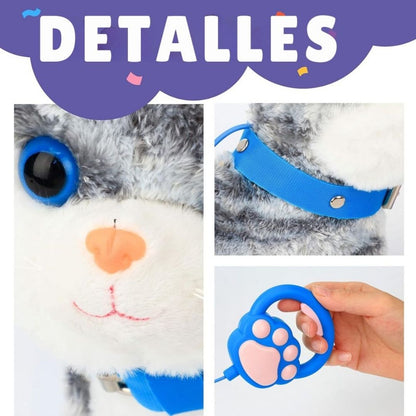 Gatito Interactivo y Musical - Felpita Play™ 🐾🎶