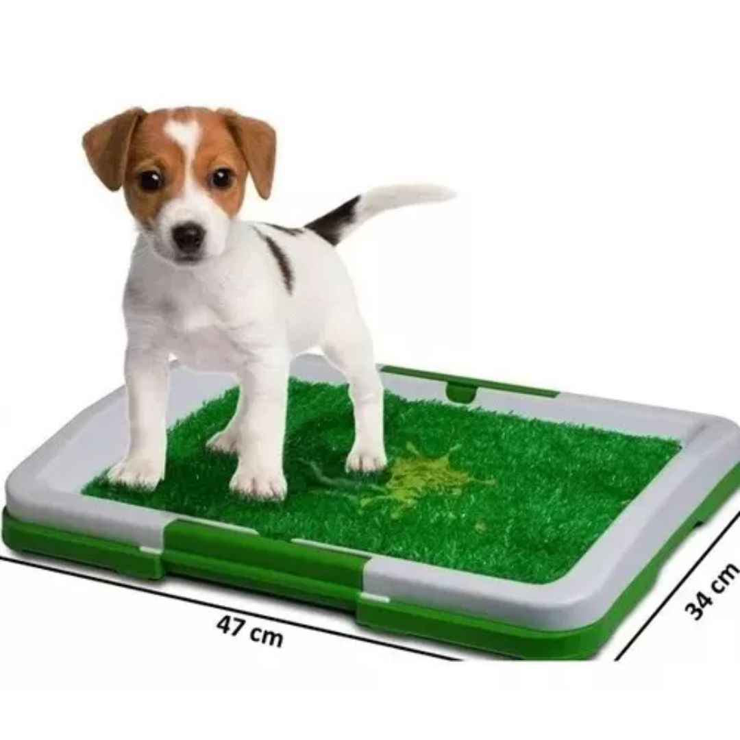 Tapete Entrenador de Mascotas 3 en 1 - PetRelief Pro™ 🐶🐾