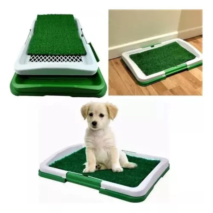 Tapete Entrenador de Mascotas 3 en 1 - PetRelief Pro™ 🐶🐾