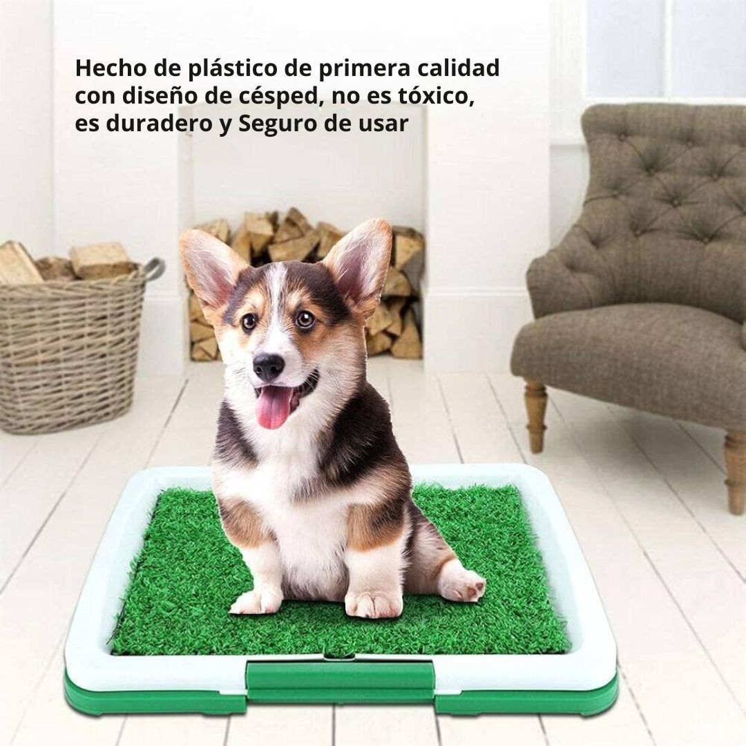 Tapete Entrenador de Mascotas 3 en 1 - PetRelief Pro™ 🐶🐾
