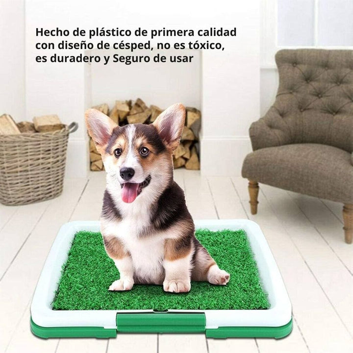 Tapete Entrenador de Mascotas 3 en 1 - PetRelief Pro™ 🐶🐾