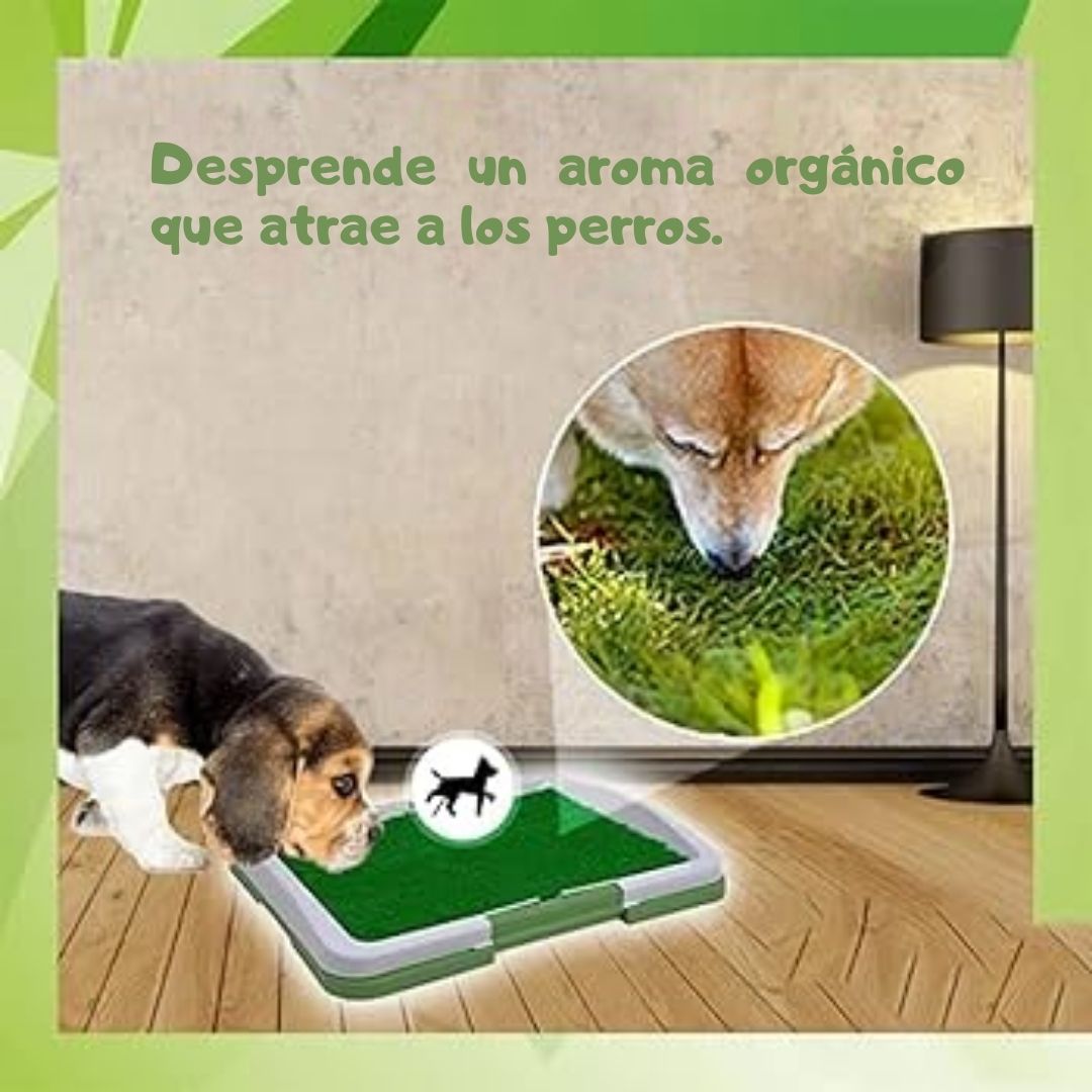 Tapete Entrenador de Mascotas 3 en 1 - PetRelief Pro™ 🐶🐾