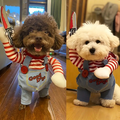 Disfraz Divertido Mascotas™ – Momentos inolvidables 🐾