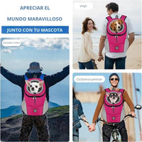 Mochila de Malla Transpirable para Mascotas - TravelPaws™ 🐾👜