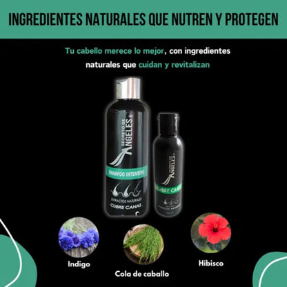Combo Restaurador Capilar: Shampoo Cubre Canas 200 ml + Pigmento +Splash Resveratrol 🎨🧴