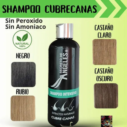 Combo Restaurador Capilar: Shampoo Cubre Canas 200 ml + Pigmento +Splash Resveratrol 🎨🧴