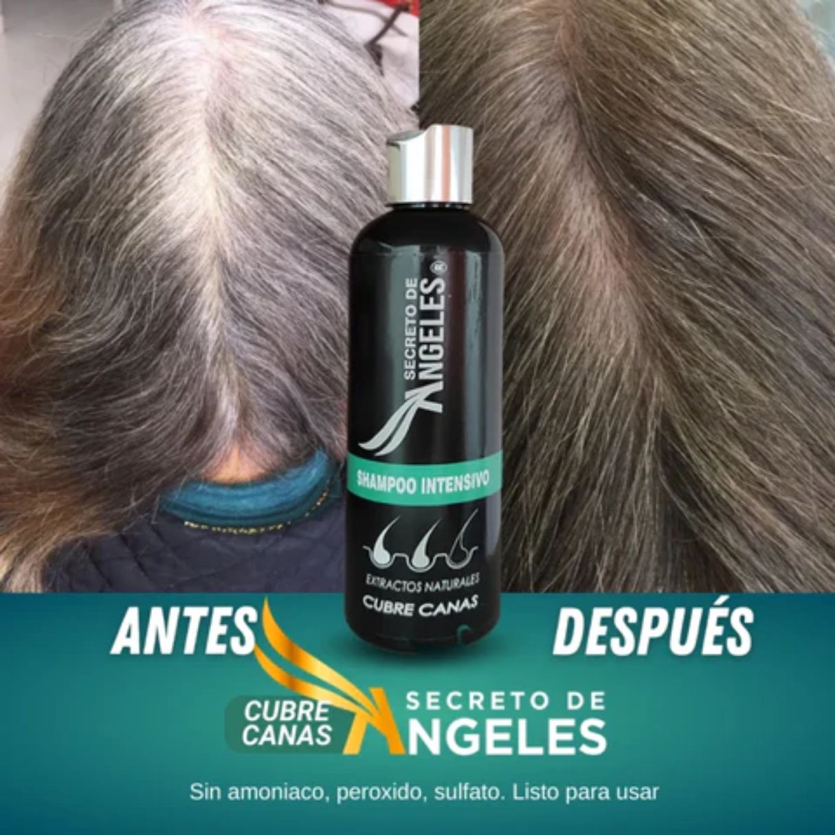 Combo Restaurador Capilar: Shampoo Cubre Canas 200 ml + Pigmento +Splash Resveratrol 🎨🧴