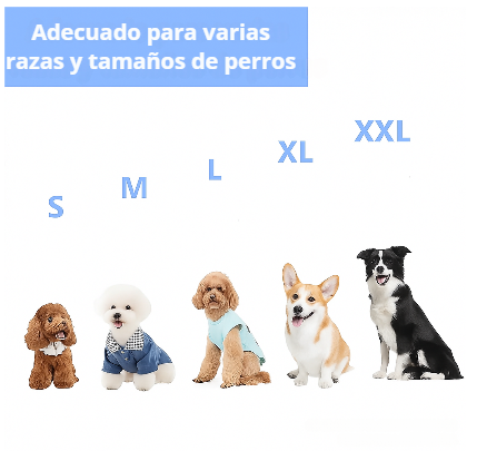 Disfraz Divertido Mascotas™ – Momentos inolvidables 🐾